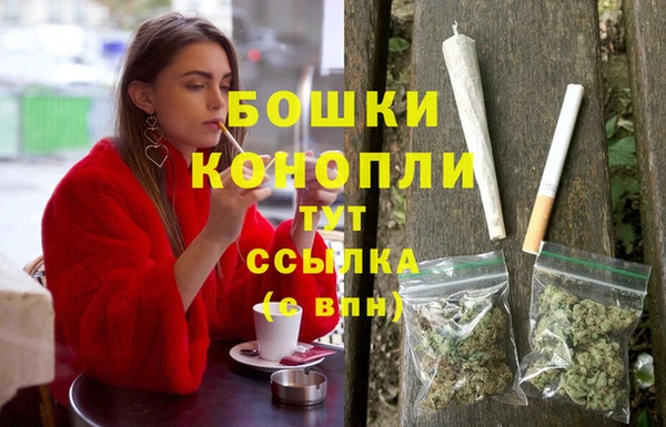 шишки Михайловка