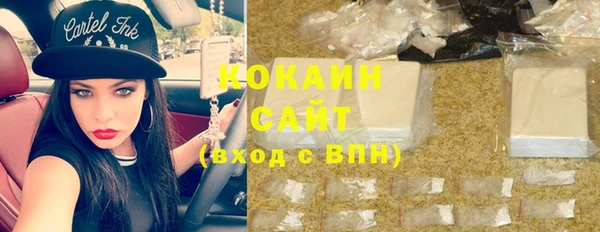 шишки Михайловка