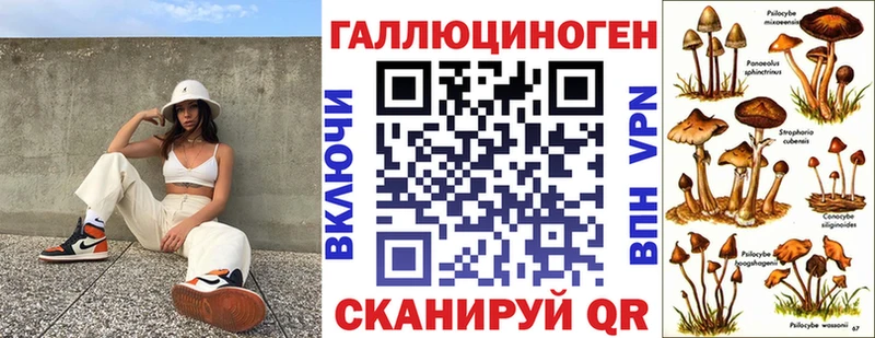 Псилоцибиновые грибы мухоморы  где можно купить наркотик  Орехово-Зуево 